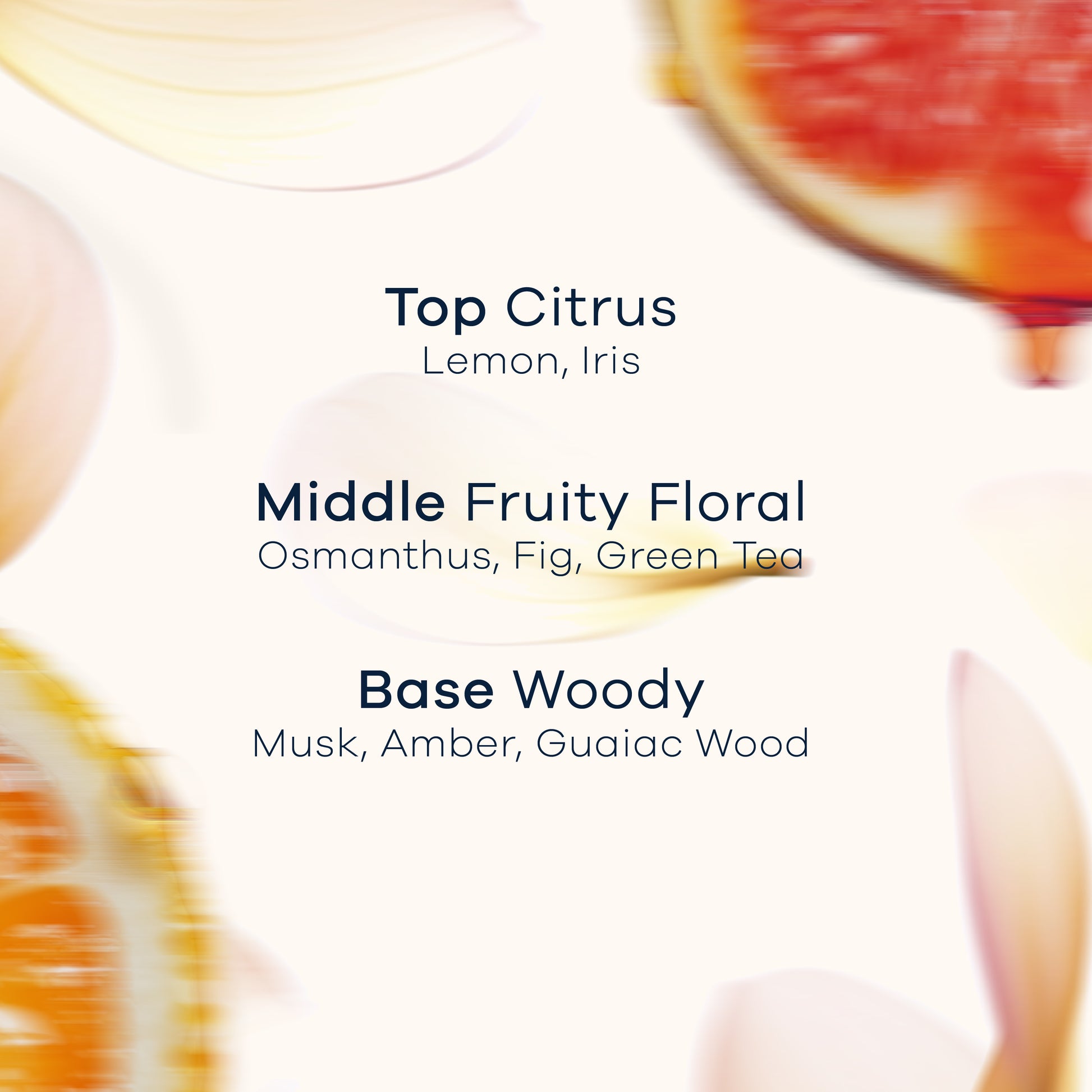 헤지리프 퍼퓸 래디언트 바디로션 - 써니피그 향